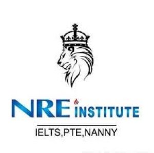 NRE Institute